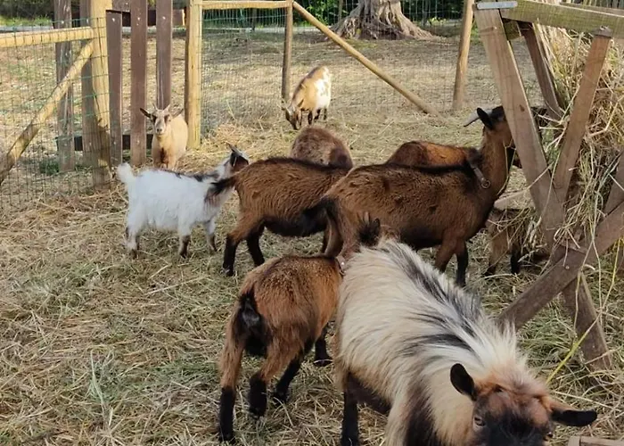 Casa Gil, Quinta Carmo - Alcobaça/ Nazaré Chalé